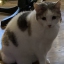 feebeekate