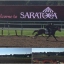 MrSaratoga
